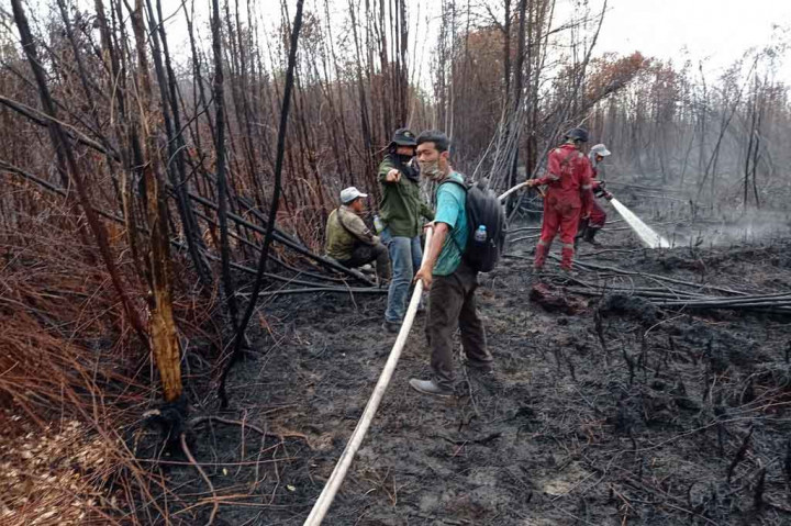 Karhutla yang melanda kawasan hutan rawa gambut SM GSK yang merupakan zona inti cagar biosfer sudah berlangsung sekitar dua pekan. Balai Besar Konservasi Sumber Daya Alam (BBKSDA) Riau mengerahkan tim gabungan dan helikopter bom air dalam usaha untuk mempercepat pemadaman.