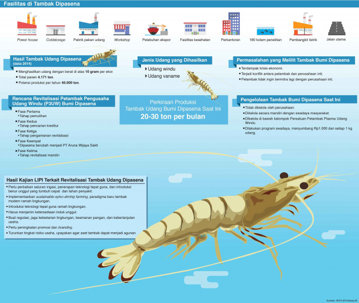 Membangkitkan Kejayaan Tambak Bumi Dipasena
