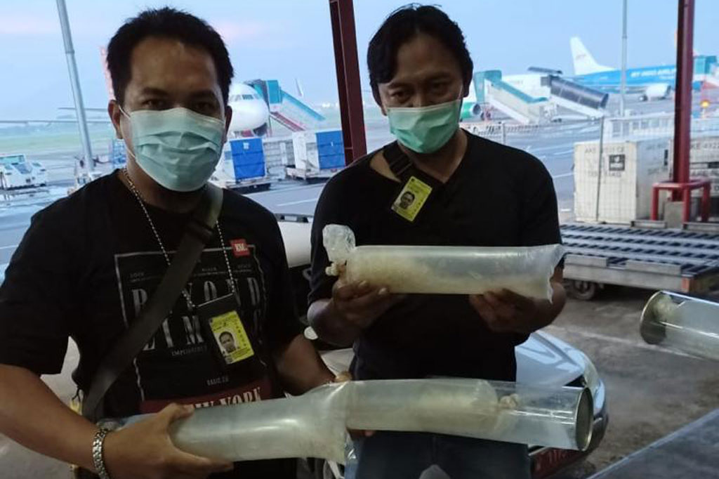 Petugas Bea dan Cukai Juanda di Sidoarjo, Jawa Timur, berhasil menggagalkan upaya penyelundupan 29.250 benih bening lobster (BBL) ilegal senilai Rp2,9 milliar.