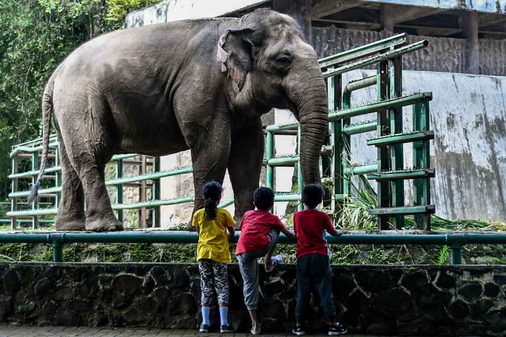 Sejumlah wahana dan kuliner di taman itu juga dibuka dengan menerapkan protokol kesehatan ketat. 