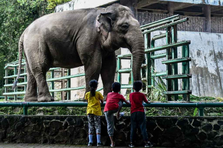Sejumlah wahana dan kuliner di taman itu juga dibuka dengan menerapkan protokol kesehatan ketat. 