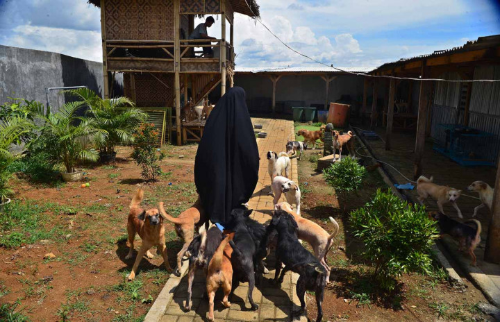 Hesti Sutrisno, seorang wanita bercadar yang memiliki penampungan anjing liar yang ia sebut Green House.

