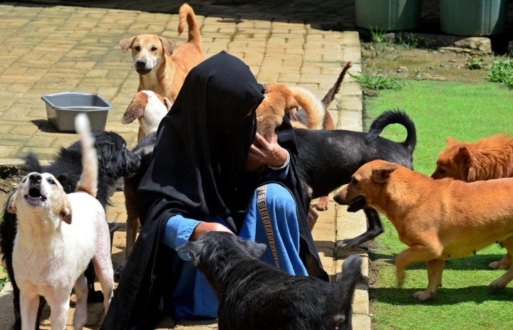 Hingga kini Hesti telah menampung sebanyak 70 ekor anjing liar yang telantar untuk dirawat dan divaksinasi agar terjauh dari virus dan penyakit berbahaya. 

