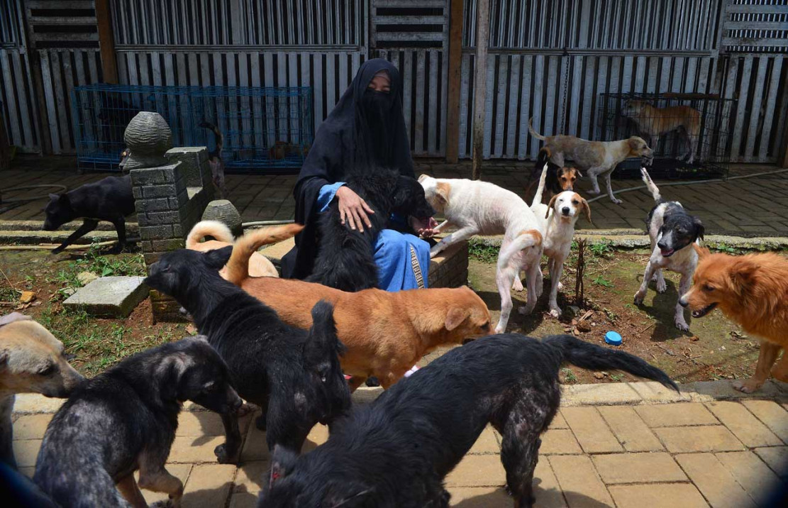 Potret Hesti Sutrisno, Wanita Bercadar Pemilik 70 Anjing Liar - Medcom.id