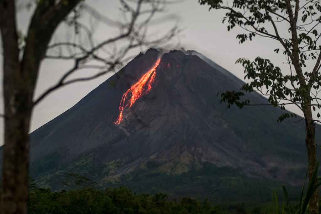 Kepala Balai Penyelidikan dan Pengembangan Teknologi Kebencanaan Geologi (BPPTKG), Hanik Humaida menuturkan selain guguran lava pijar, Merapi juga mengalami 43 kali gempa guguran dengan amplitudo 3-30 milimeter (mm) selama 11-137 detik, dua kali gempa hembusan dengan amplitudo 5-15 milimeter (mm) selama 12-18 detik.