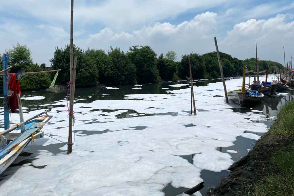 Busa dalam beberapa hari terakhir muncul di Sungai Tambak Wedi di Kota Surabaya, Provinsi Jawa Timur. Wakil Wali Kota Surabaya Armudji mengatakan, munculnya busa tersebut disebabkan adanya aktivitas pembuangan limbah ke sungai.