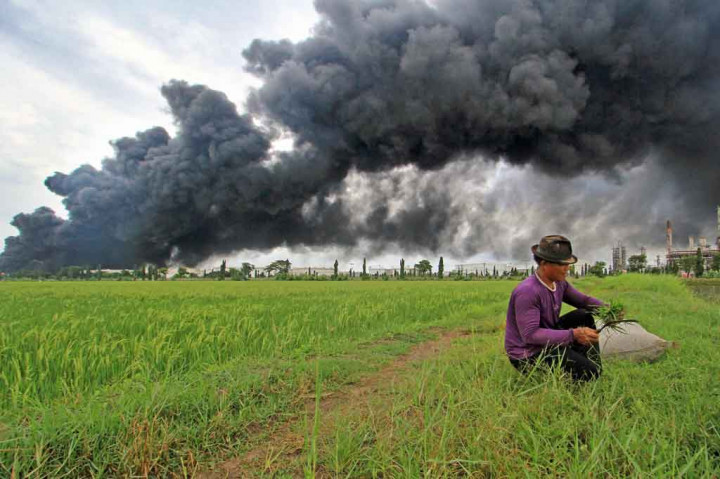 Warga mencari rumput dengan latar belakang kebakaran yang melanda tangki minyak T-130G di kilang Pertamina Balongan, Indramayu, Jawa Barat hingga Selasa, 30 Maret.