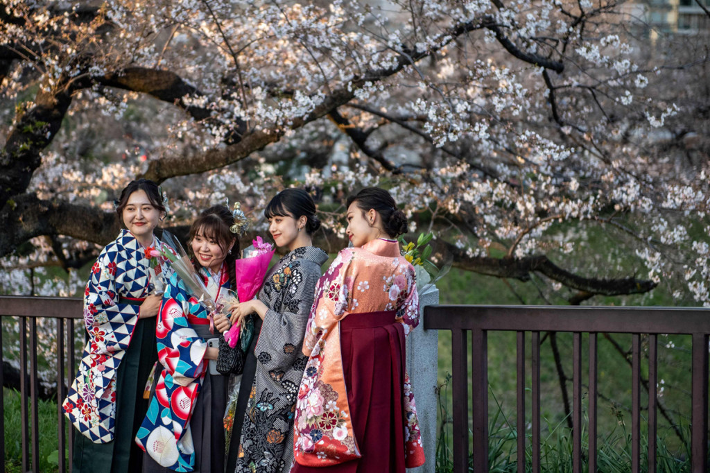 Setiap tahun masyarakat Jepang dan wisatawan berbondong-bondong menyambut datangnya musim semi untuk menyaksikan mekarnya bunga sakura, yang dikenal dengan sebutan hanami.