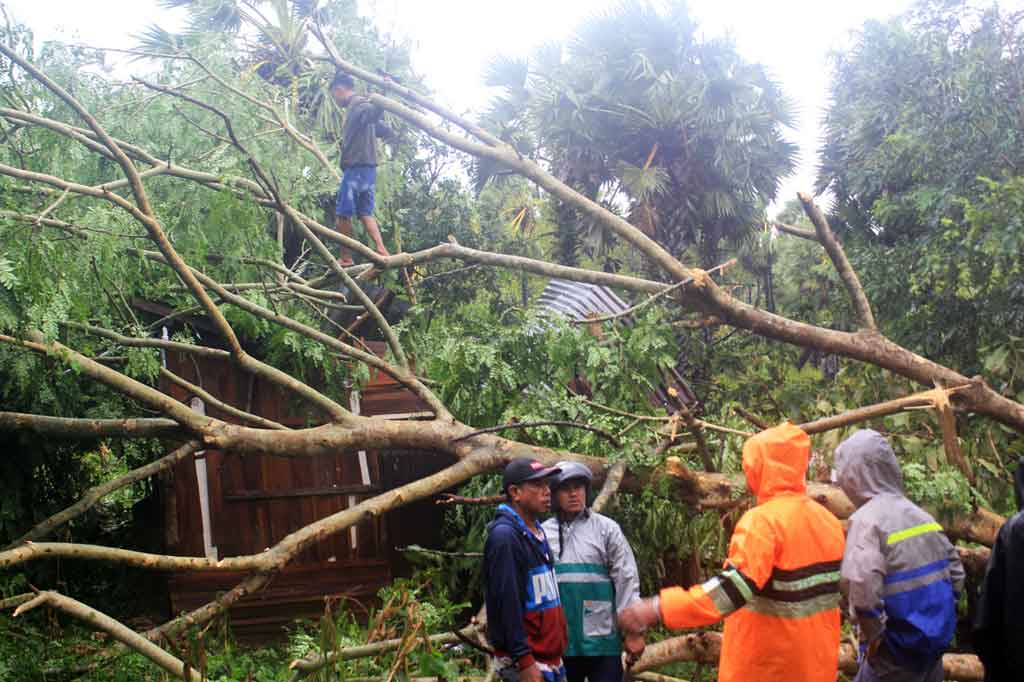 Berdasarkan informasi Badan Nasional Penanggulangan Bencana (BNPB) angin kencang, longsor, banjir rob dan gelombang pasang melanda ibu kota Provinsi NTT itu. Sebanyak 743 KK atau 2.190 warga Kupang terdampak. Selain itu, ratusan rumah warga mengalami kerusakan dan 15 titik akses jalan tertutup pohon tumbang.