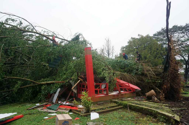 Sejumlah petugas tengah menyingkirkan pohon yang tumbang setelah terjadi angin puting beliung di kawasan taman wisata Sanggaluri Park di Purbalingga, Jawa Tengah, pada Selasa, 6 April 2021 sore.