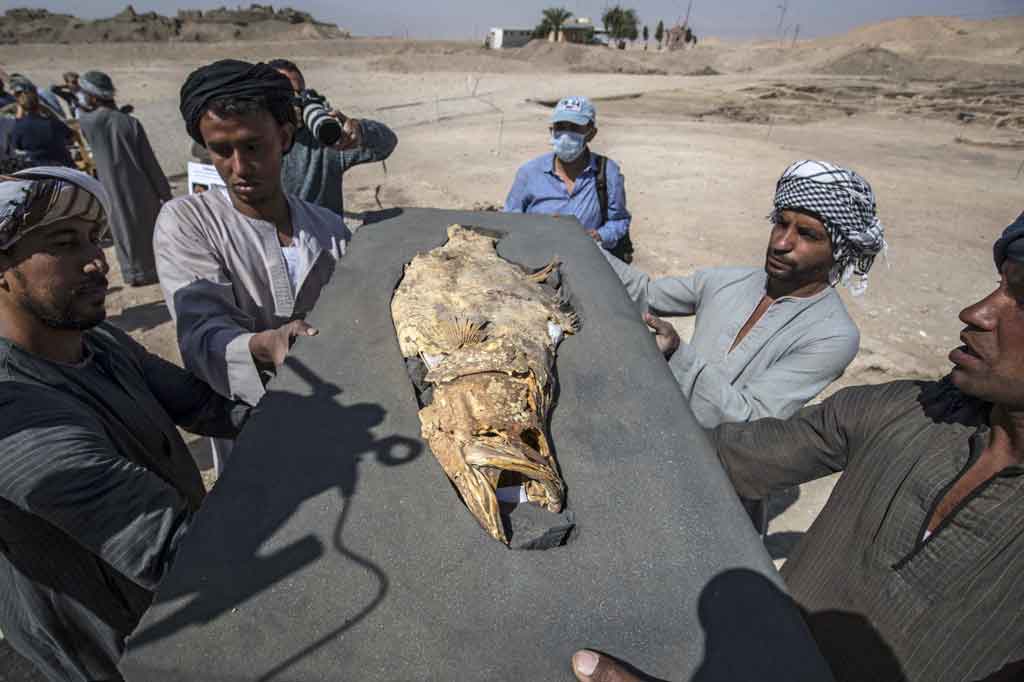 Di lokasi dekat Luxor, rumah dari Lembah Para Raja yang legendaris, para pekerja dengan hati-hati mengevakuasi pot-pot kuno dan menunjukkan sisa-sisa kerangka manusia dan hewan yang mereka gali.