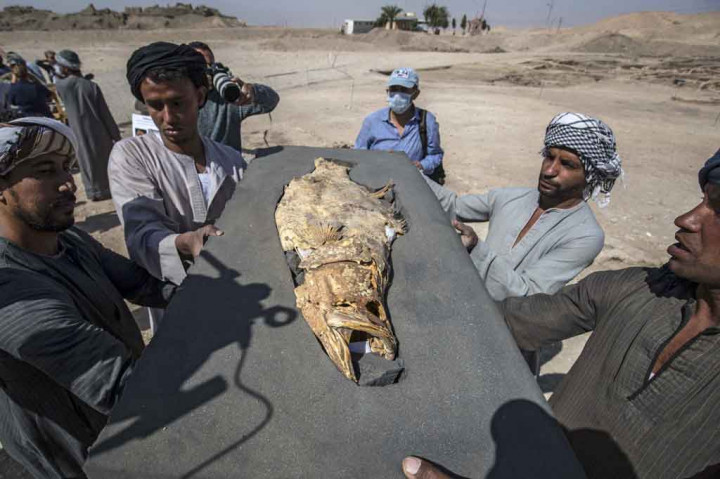 Di lokasi dekat Luxor, rumah dari Lembah Para Raja yang legendaris, para pekerja dengan hati-hati mengevakuasi pot-pot kuno dan menunjukkan sisa-sisa kerangka manusia dan hewan yang mereka gali.