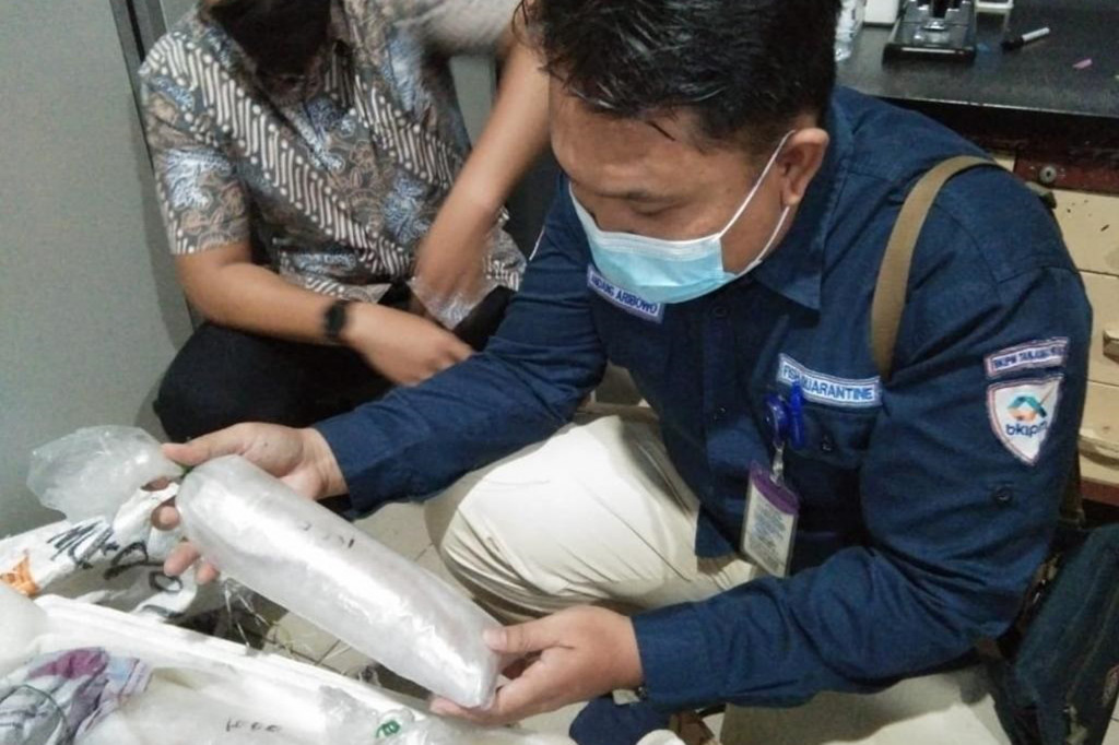 Kali ini, petugas gabungan dari Bea Cukai, Direktorat Jenderal Pengawasan Sumber Daya Kelautan dan Perikanan (PSDKP), serta Badan Karantina Ikan Pengendalian Mutu dan Keamanan Hasil Perikanan (BKIPM) mengamankan sebuah high speed craft atau kapal cepat di perairan Batu Cula.