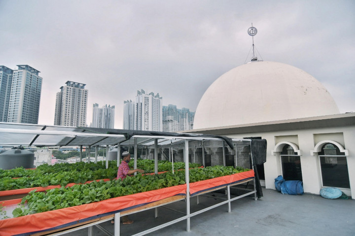 Petugas memeriksa kondisi sayuran pakcoy, sawi dan selada dengan metode penanaman hidroponik di atap Masjid Jami Attaqwa, Sunter Muara, Jakarta Utara, Kamis, 15 April 2021. 