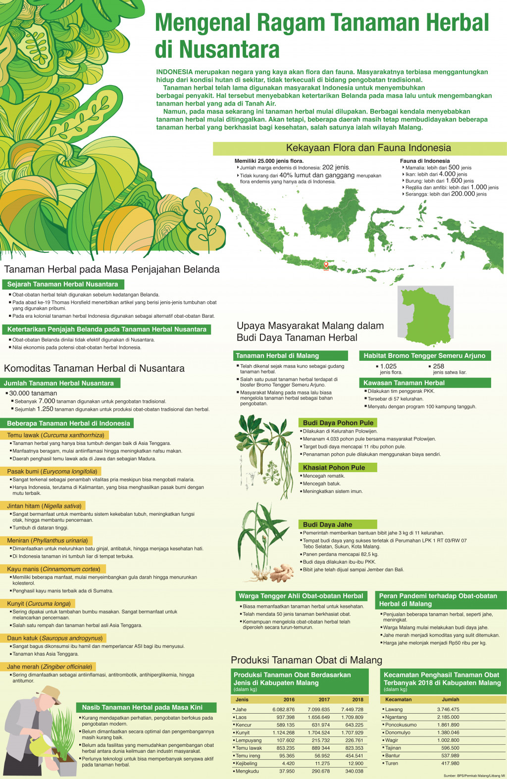 Mengenal Ragam Tanaman Herbal di Nusantara