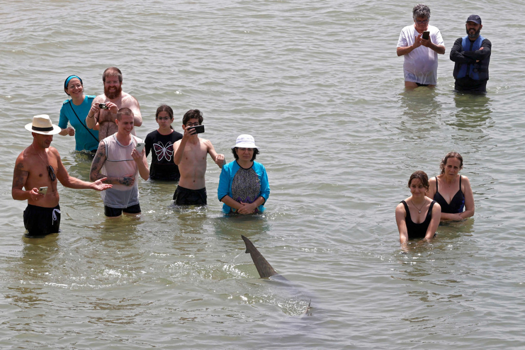 Fenomena yang menjadi perhatian warga ini diduga akibat suhu air laut Mediterania berubah menjadi hangat.