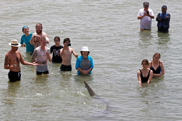 Fenomena yang menjadi perhatian warga ini diduga akibat suhu air laut Mediterania berubah menjadi hangat.