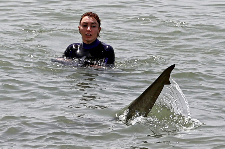 Pihak berwenang memperingatkan penduduk agar menjauh dari hiu-hiu tersebut