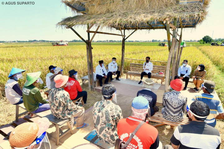 Selain meninjau panen bersama, Presiden Joko Widodo juga sempat berdialog dengan sejumlah petani setempat. 