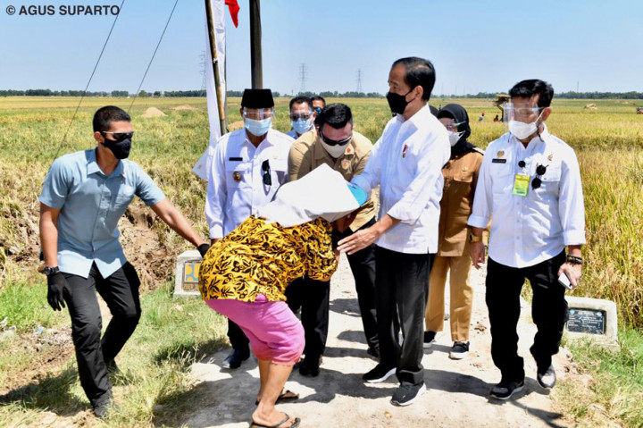 Jokowi menegaskan, pemerintah ingin terus berupaya membangun pertanian nasional yang semakin baik sehingga mampu meningkatkan produksinya. Dengan produksi yang semakin meningkat tersebut, diharapkan ketahanan pangan nasional dan swasembada dapat terwujud.