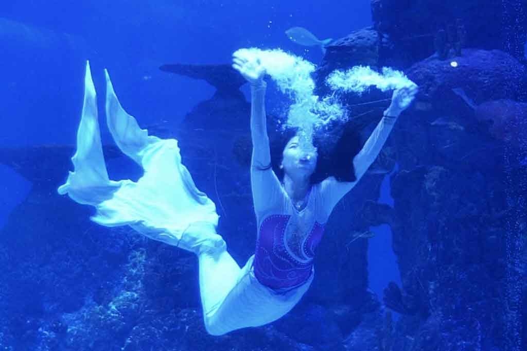 Penyelam berkostum putri duyung (mermaid) beraksi di Jakarta Aquarium dan Safari, Jakarta, Rabu, 21 April 2021.