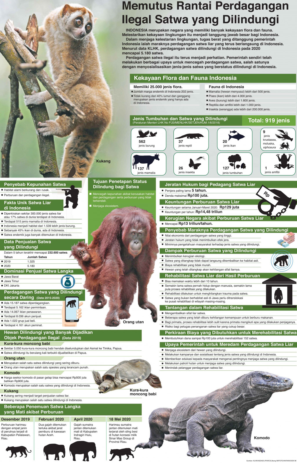 Memutus Rantai Perdagangan Ilegal Satwa yang Dilindungi