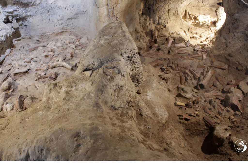 Potret tak bertanggal yang dikeluarkan Kementerian Kebudayaan Italia menunjukkan Gua Guattari di San Felice Circeo, selatan Roma, di mana sisa-sisa fosil sembilan Neanderthal telah ditemukan.