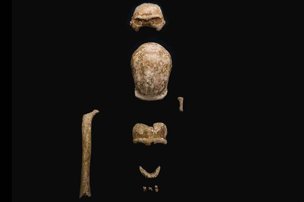 Semua individu yang ditemukan di Gua Guattari di San Felice Circeo, antara Roma dan Napoli, diyakini sebagai orang dewasa, meskipun satu laki-laki mungkin masih muda. 