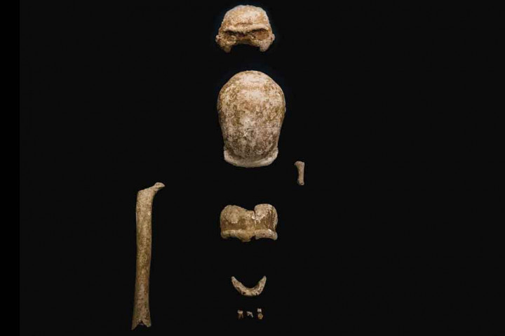 Semua individu yang ditemukan di Gua Guattari di San Felice Circeo, antara Roma dan Napoli, diyakini sebagai orang dewasa, meskipun satu laki-laki mungkin masih muda. 