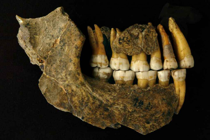 
Kementerian melanjutkan, bersama dua individu lain yang ditemukan di masa lalu di situs itu, mereka menjadikan jumlah total individu yang ada di Gua Guattari menjadi 11. Ini mengkonfirmasikannya sebagai salah satu situs paling signifikan di dunia untuk sejarah manusia Neanderthal. 