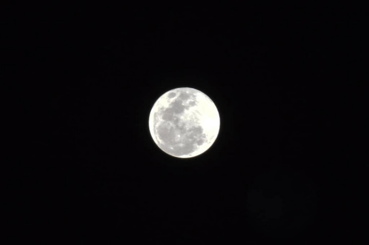 Fenomena super blood moon di Tajurhalang, Bogor, Jawa Barat.