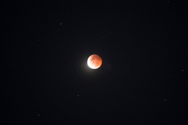 Super Blood Moon terlihat di langit Surabaya, Jawa Timur.