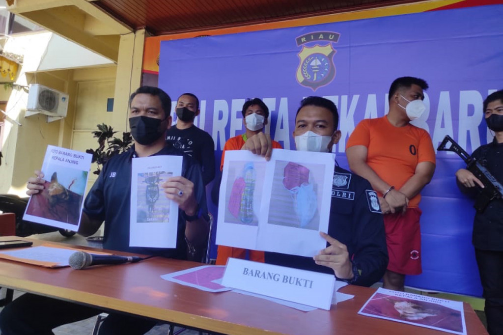 Kasat Reskrim Polresta Pekanbaru Komisaris Juper Lumban Toruan mengatakan motif aksi teror tersebut adalah karena sakit hati mengenai hasil keputusan musyawarah daerah luar biasa LAM) Pekanbaru pada beberapa bulan yang lalu sehingga pelaku yang berinisial YS menginisiator untuk merencanakan teror kepada ketua harian yang terpilih saat itu Muspidauan yang juga menjabat sebagai Kepala Seksi Penerangan dan Hukum (Kasipenkum) di Kejaksaan Tinggi (Kejati) Riau.