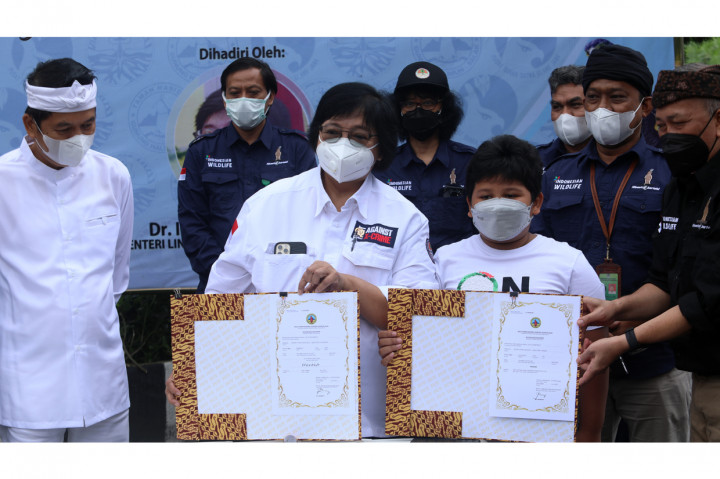 Menteri Lingkungan Hidup dan Kehutanan Siti Nurbaya (kedua dari kiri) dan anggota DPR Dedi Mulyadi (kiri) memperlihatkan akta kelahiran Elang Jawa bernama Prawara dan Parama di Bogor, Jawa Barat.