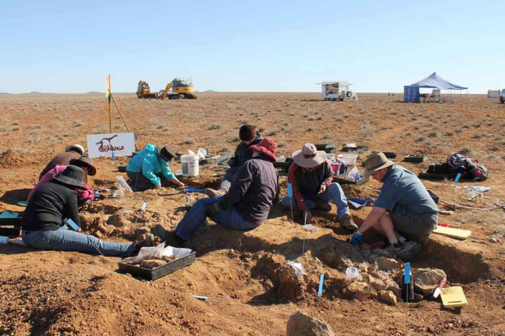 Ahli paleontologi telah menamai sauropoda itu Australotitan cooperensis, menggabungkan titan selatan dengan nama sungai di dekat tempat tulang-tulang makhluk itu ditemukan pada 2006 di sebuah peternakan sapi di Eromanga, Negara Bagian Queensland.