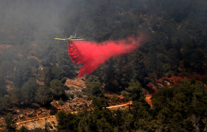 Kebakaran hutan besar terjadi di perbukitan dekat Yerusalem pada Rabu, 9 Januari 2021, waktu setempat. 