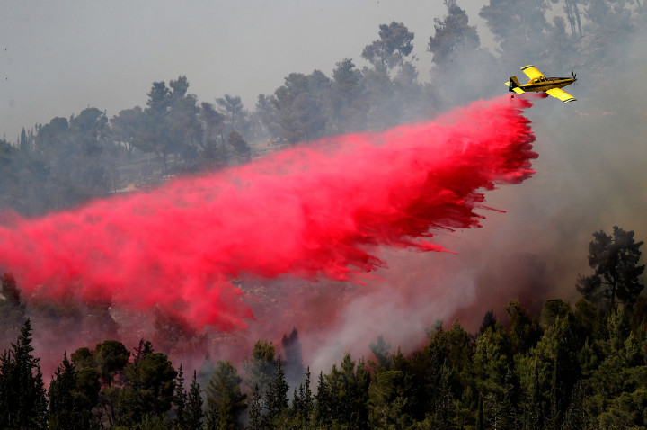 Puluhan petugas pemadam kebakaran dan 10 tanker udara sudah dikerahkan untuk mengatasi dua kebakaran hutan besar yang berkobar di perbukitan dekat Yerusalem. 
