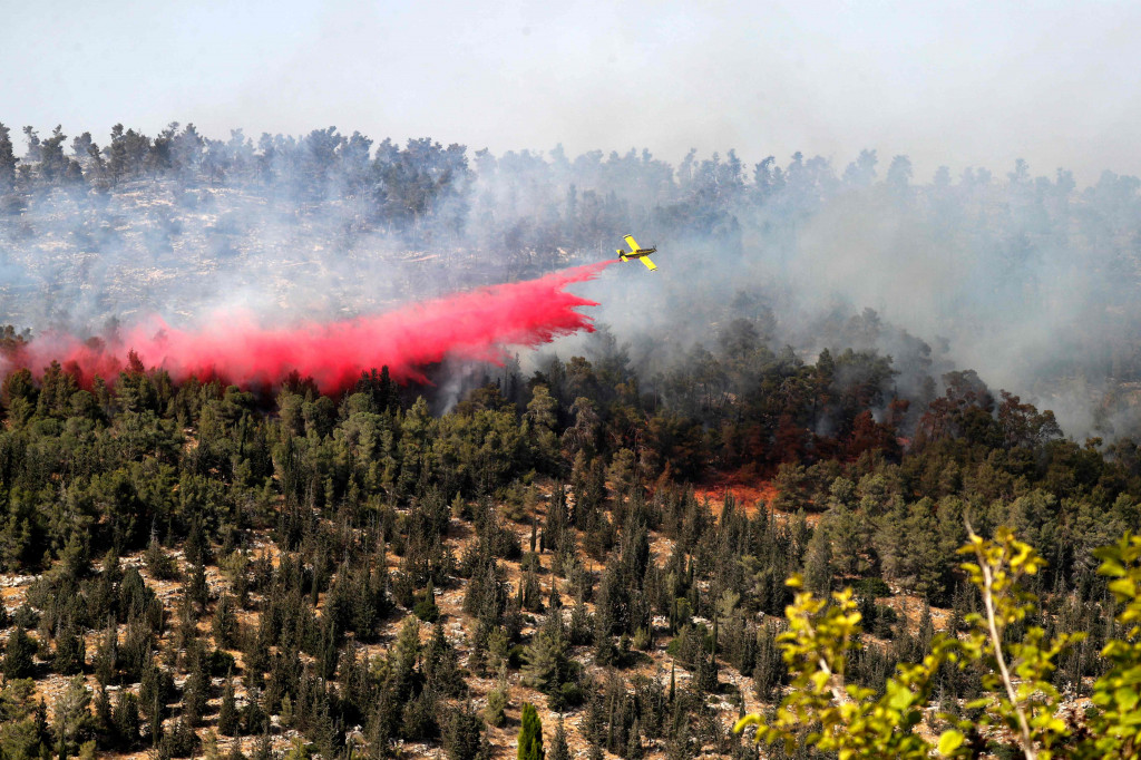 Komisaris Pemadam Kebakaran dan Penyelamatan Dedi Simchi mengatakan kebakaran yang terbaru ini dari banyak kejadian di Israel, tampaknya merupakan perbuatan manusia.