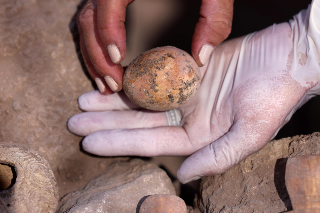 Arkeolog Israel menemukan telur ayam berusia 1.000 tahun selama melakukan penggalian di Kota Yavne, Israel.