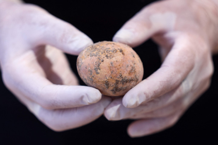 Telur ayam yang hampir utuh tersebut ditemukan baru-baru ini di sebuah tangki septik di tengah-tengah kotoran manusia.