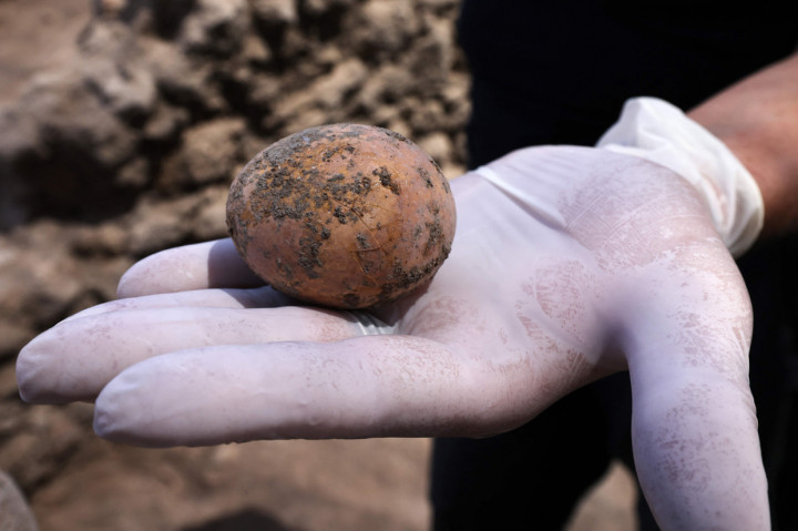 Otoritas Barang Antik Israel sangat senang dengan penemuan telur ayam berusia 1.000 tahun ini. Bahkan di seluruh dunia, ini adalah penemuan yang sangat langka. 
