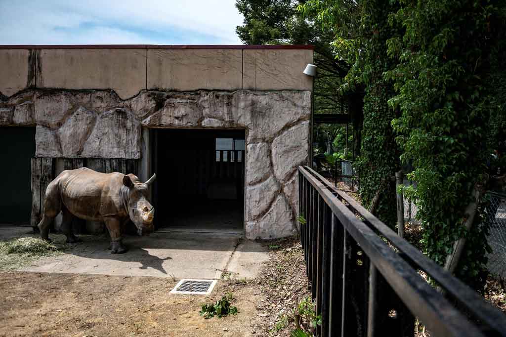 New zoo. Japan Zoo.