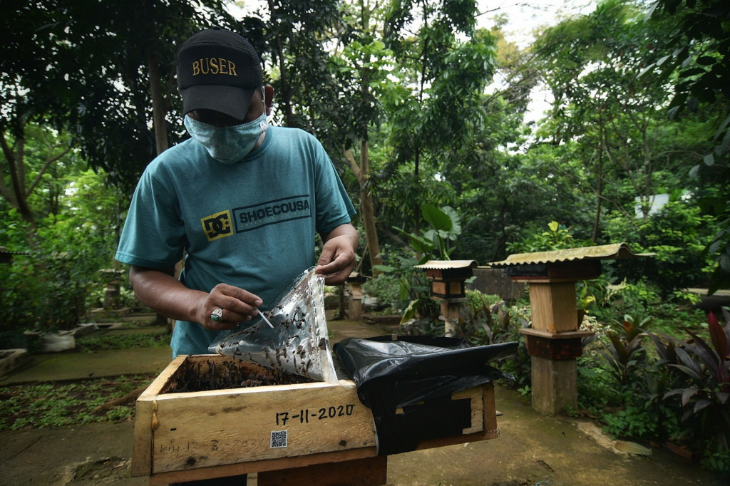 Budidaya lebah madu ini juga merupakan wisata alternatif di Hutan Kota Srengseng, di mana selain bisa melihat budidaya lebahnya, warga juga bisa menikmati madu langsung dari sarangnya.