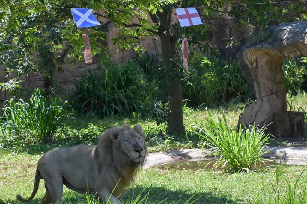 Inggris bisa menyusul Italia, Belgia, dan Belanda melaju ke 16 besar Euro 2020 jika mencatat kemenangan kedua atas Skotlandia dalam pertandingan kedua di Grup D Euro 2020 di Stadion Wembley, London, Sabtu, 19 Juni 2021 dini hari pukul 02.00 WIB nanti.