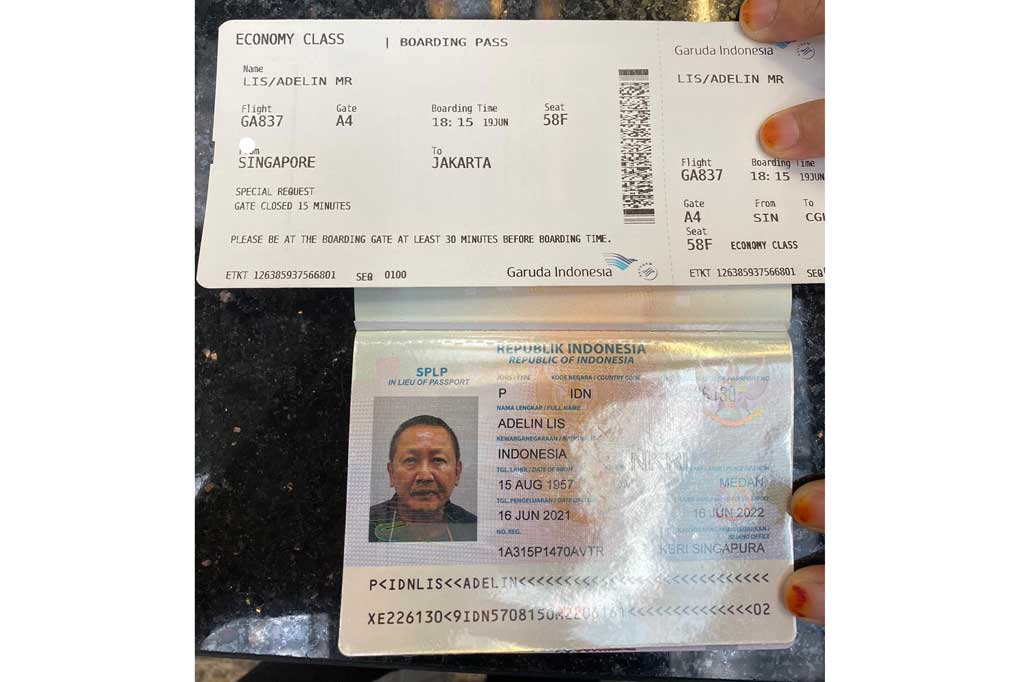 Adelin Lis ditangkap di Singapura karena memalsukan paspor dengan menggunakan nama Hendra Leonardi.Pengadilan Singapura telah menjatuhkan hukuman kepada Adelin berupa denda sebesar SGD14.000. Pengadilan Singapura kemudian mendeportasi Adeline ke Indonesia, dan akan segera menjalani proses hukum di Tanah Air terkait kasus pembalakan liar.