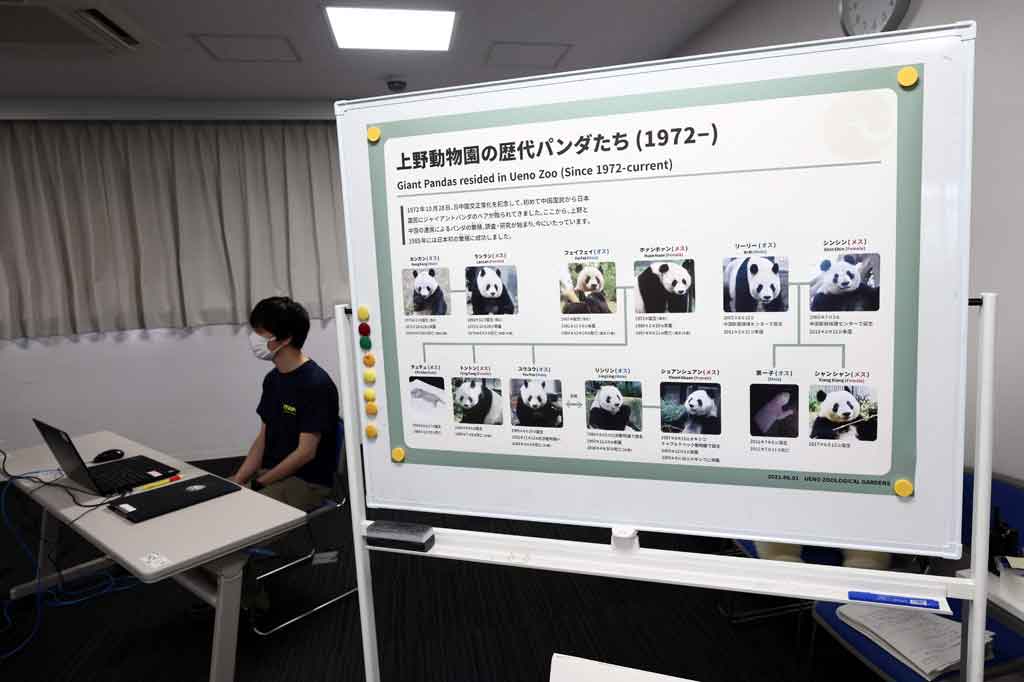 Shin Shin dan pasangannya Ri Ri kawin pada awal Maret. Pasangan ini juga induk dari panda betina, Xiang Xiang, yang lahir pada Juni 2017 dan menjadi daya tarik besar bagi kebun binatang. Xiang Xiang dijadwalkan dipulangkan ke Tiongkok dua tahun setelah kelahirannya, tetapi pejabat Jepang berhasil bernegosiasi untuk memperpanjang masa tinggalnya.  Dia sekarang akan kembali ke Tiongkok pada akhir tahun.