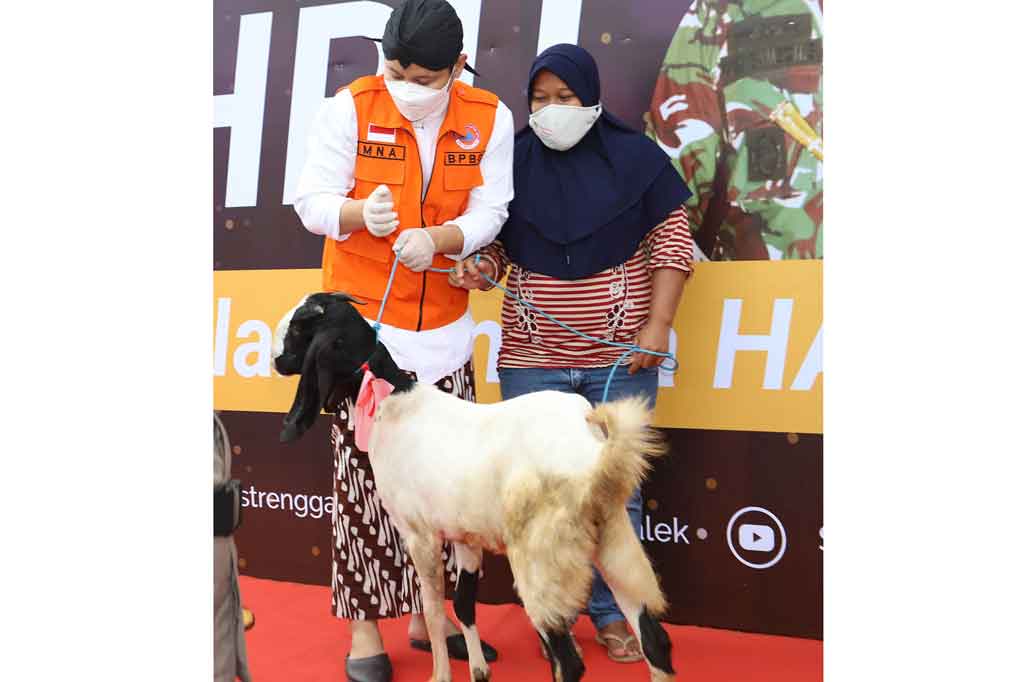 Pemerintah Kabupaten Trenggalek, Jawa Timur menggelar vaksinasi covid-19 lantatur (layanan tanpa turun) berhadiah 35 ekor kambing dan 80 ayam di tiga pasar tradisional di daerah itu. Pemberian hadiah tersebut dimaksudkan untuk mendorong antusiasme warga untuk mengikuti vaksinasi covid-19.
