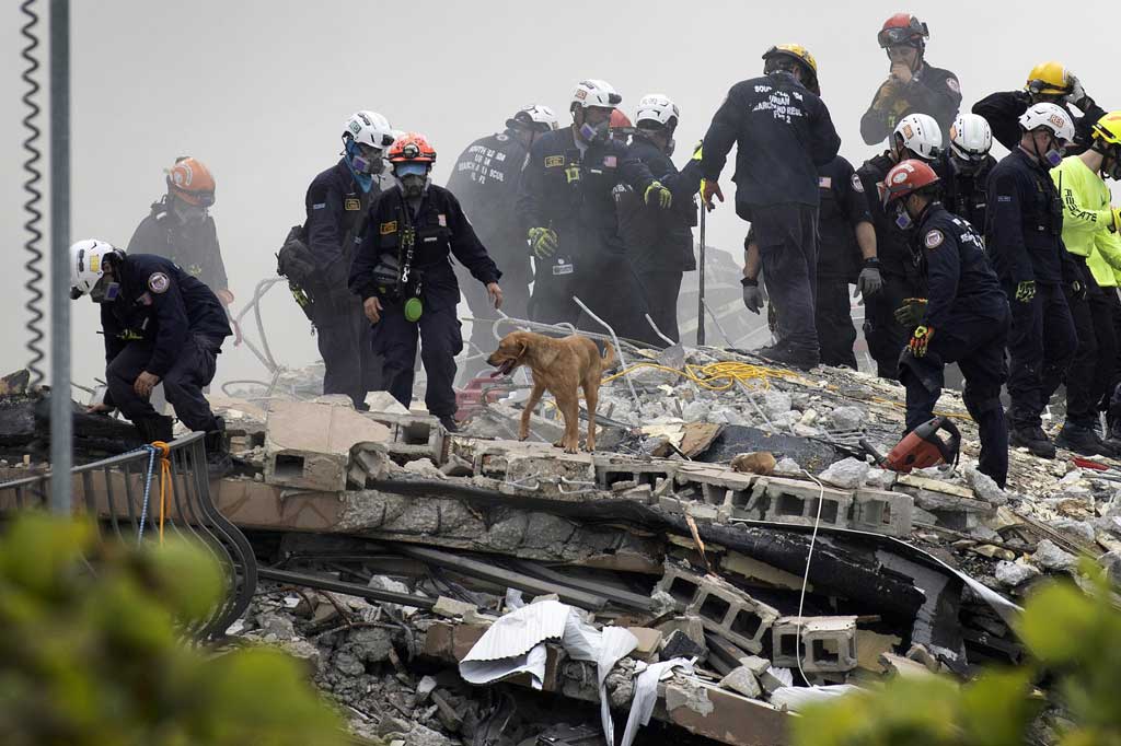Dibantu anjing pelacak, kamera, sonar, dan alat berat, tim penyelamat mencari ruang yang mungkin terbentuk di puing-puing, memungkinkan udara bagi yang selamat untuk bernafas.