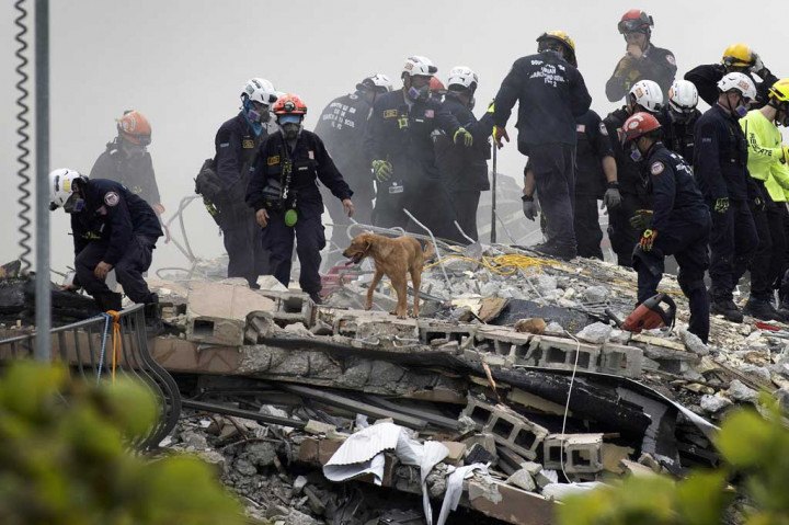 Dibantu anjing pelacak, kamera, sonar, dan alat berat, tim penyelamat mencari ruang yang mungkin terbentuk di puing-puing, memungkinkan udara bagi yang selamat untuk bernafas.