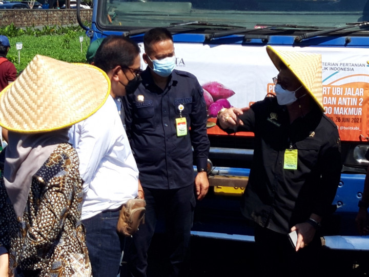 Ekspor ubi jalar itu ke Tiongkok, sedangkan Ekspor kecap ke Belanda dan Australia.
